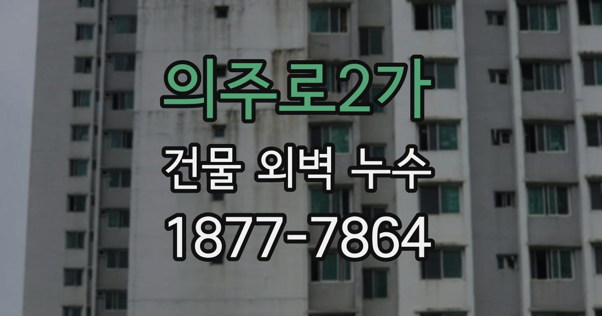 의주로2가 건물 외벽 누수