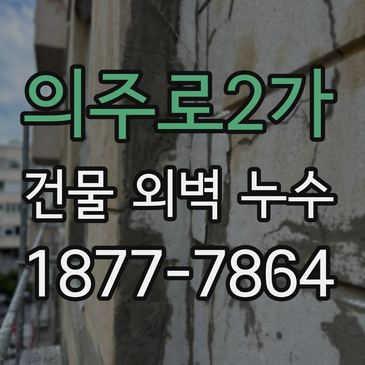 의주로2가 건물 외벽 누수