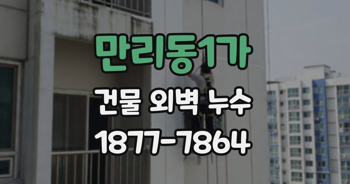 만리동1가 건물 외벽 누수