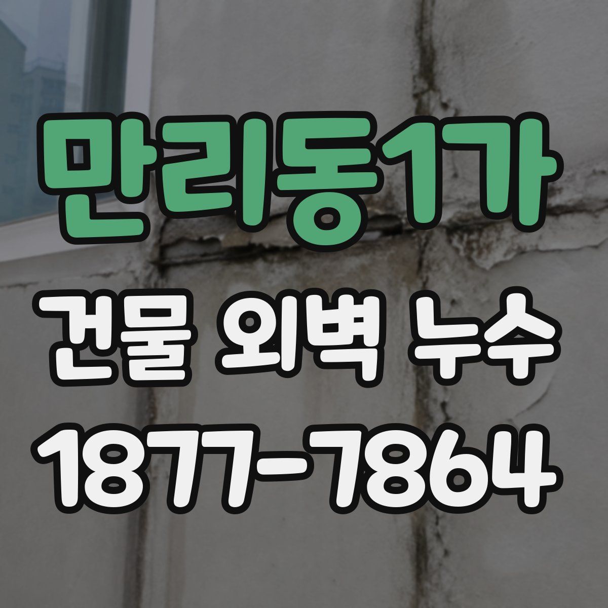 만리동1가 건물 외벽 누수