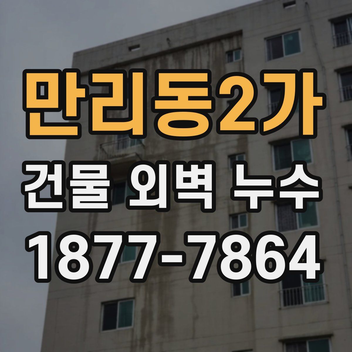 만리동2가 건물 외벽 누수