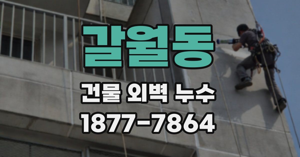 갈월동 건물 외벽 누수