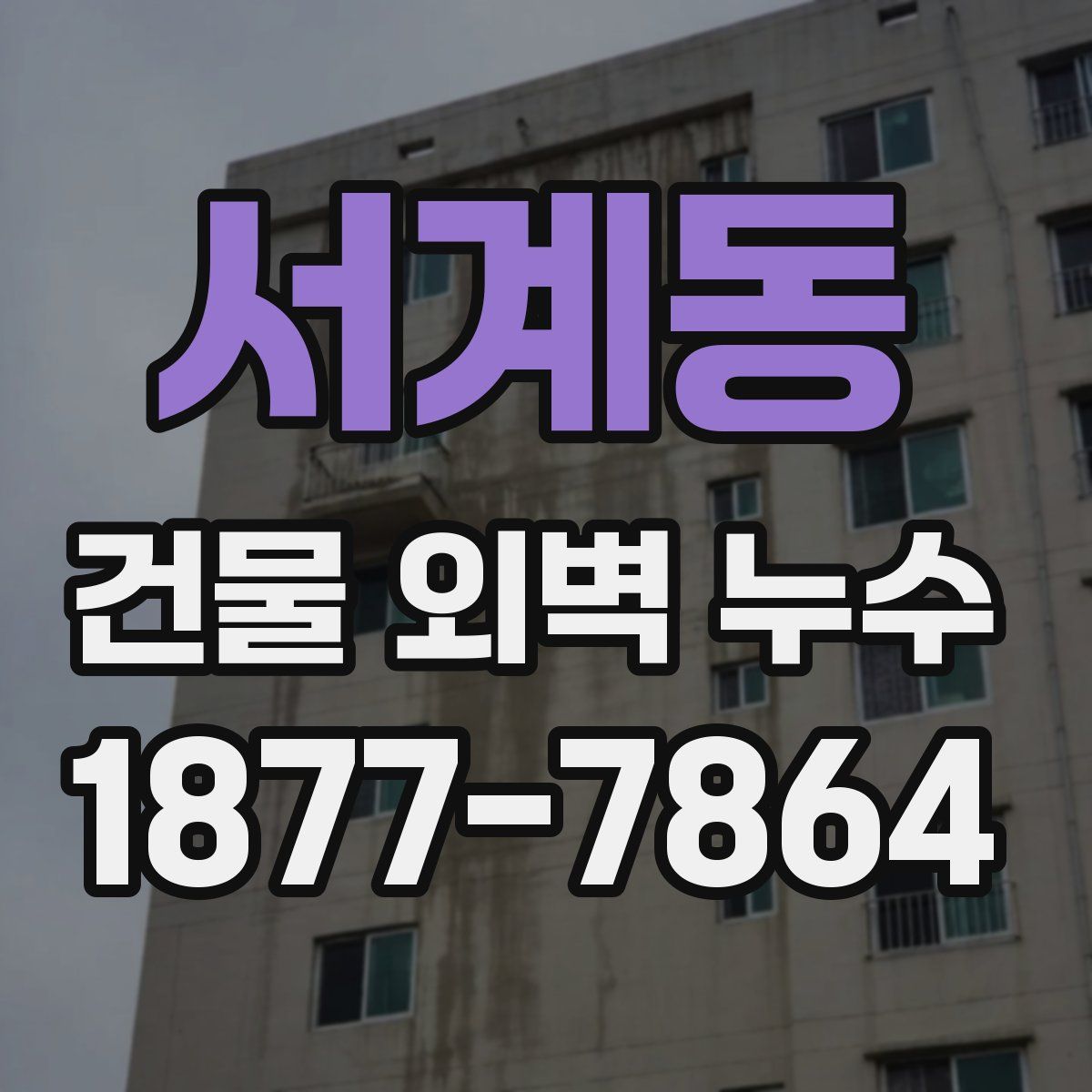 서계동 건물 외벽 누수