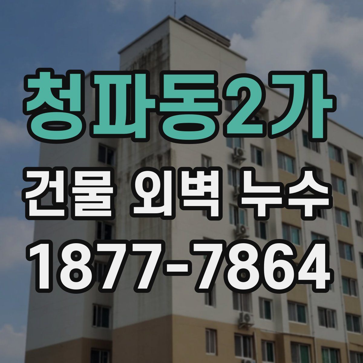 청파동2가 건물 외벽 누수