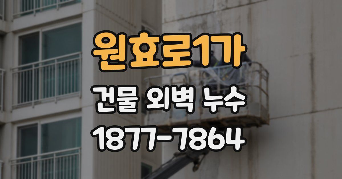 원효로1가 건물 외벽 누수