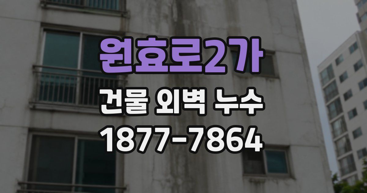 원효로2가 건물 외벽 누수