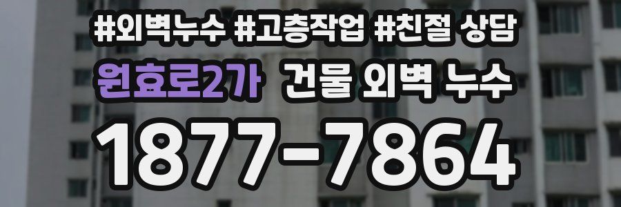원효로2가 건물 외벽 누수
