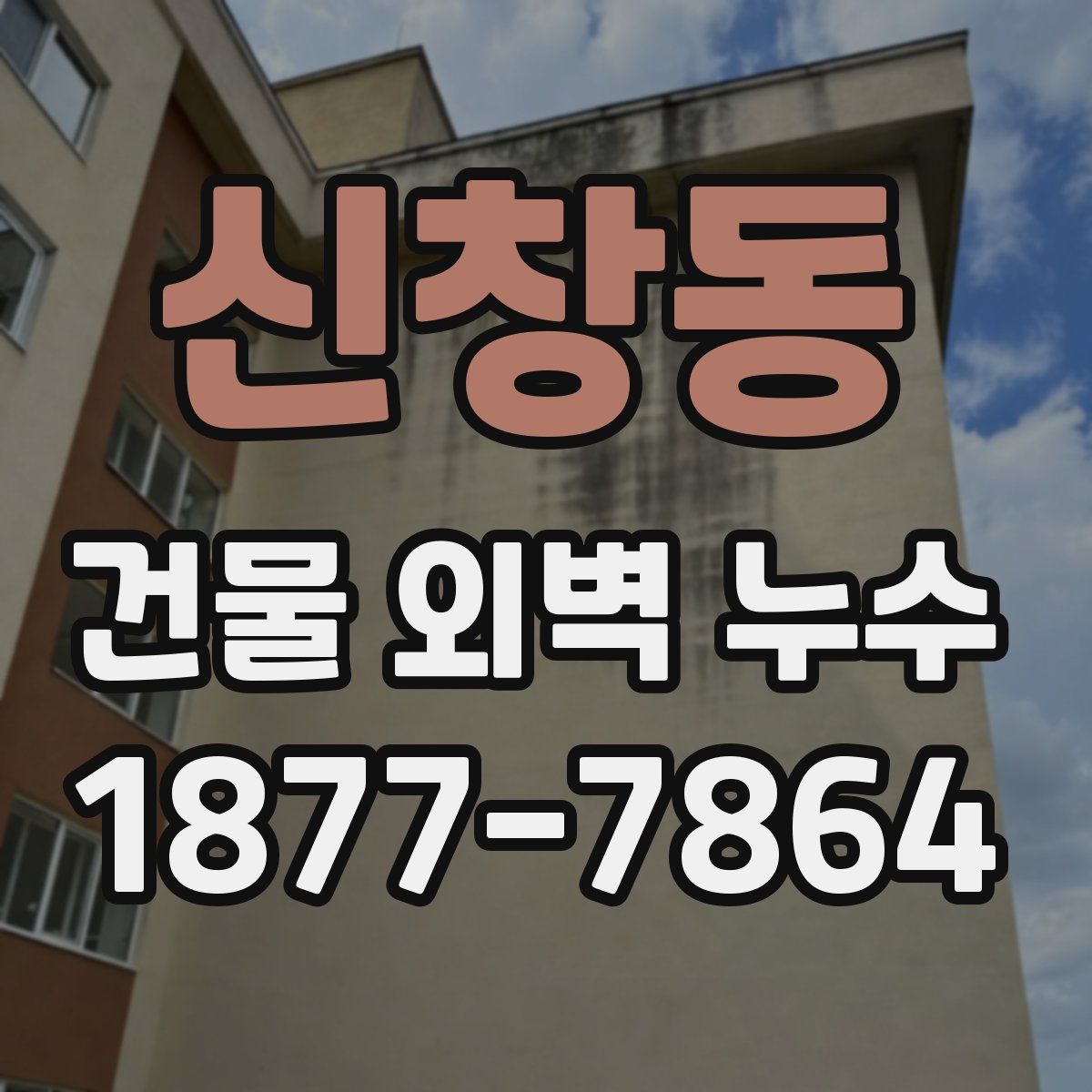 신창동 건물 외벽 누수
