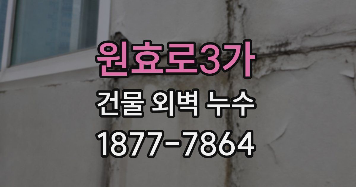 원효로3가 건물 외벽 누수