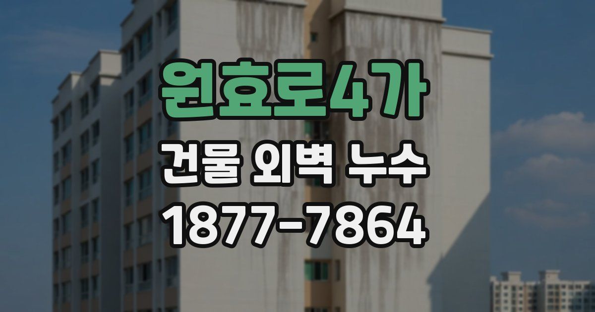 원효로4가 건물 외벽 누수