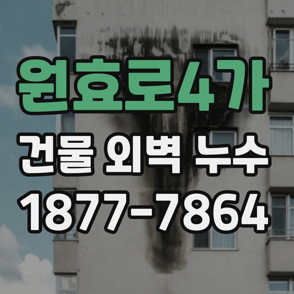 원효로4가 건물 외벽 누수