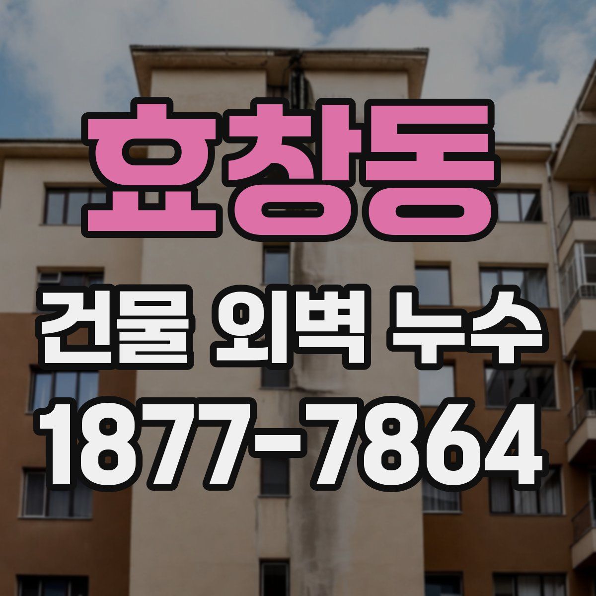 효창동 건물 외벽 누수