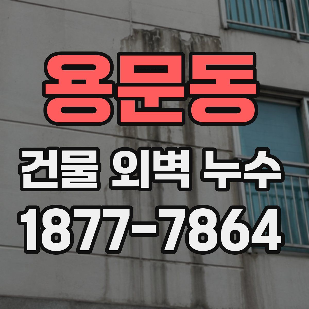 용문동 건물 외벽 누수