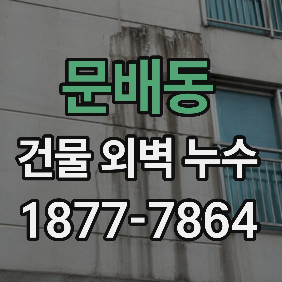 문배동 건물 외벽 누수