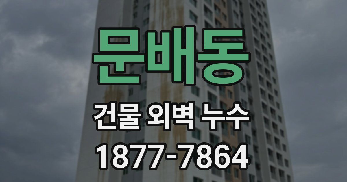 문배동 건물 외벽 누수