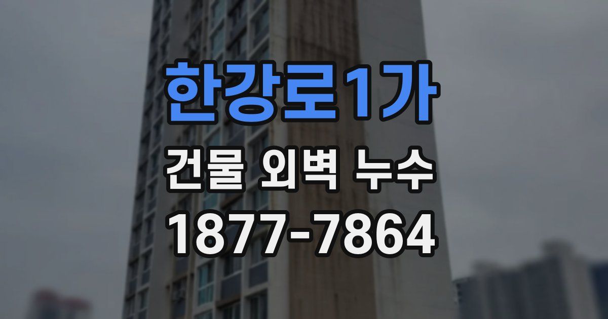 한강로1가 건물 외벽 누수