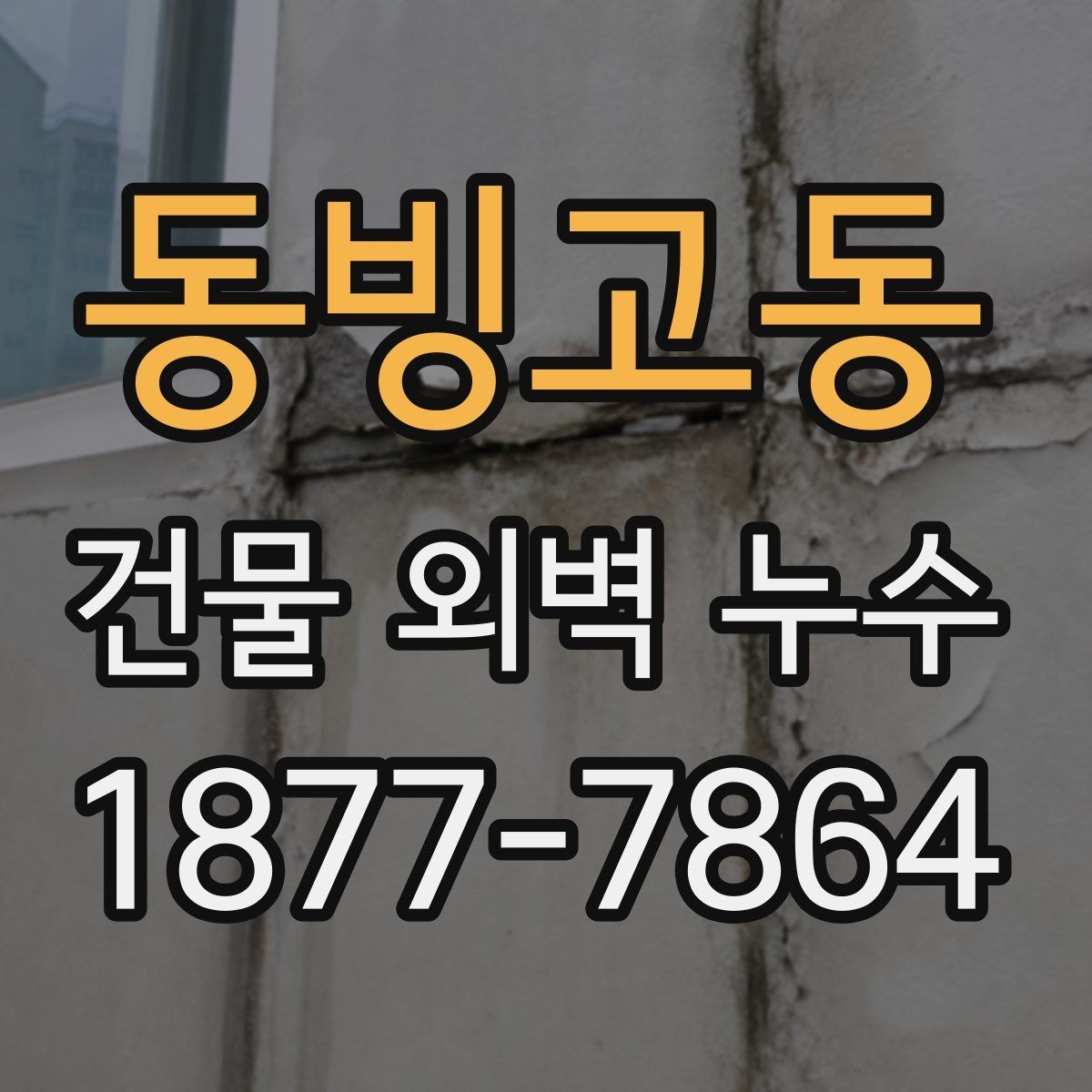 동빙고동 건물 외벽 누수 예방을 위한 외벽 관리 포인트