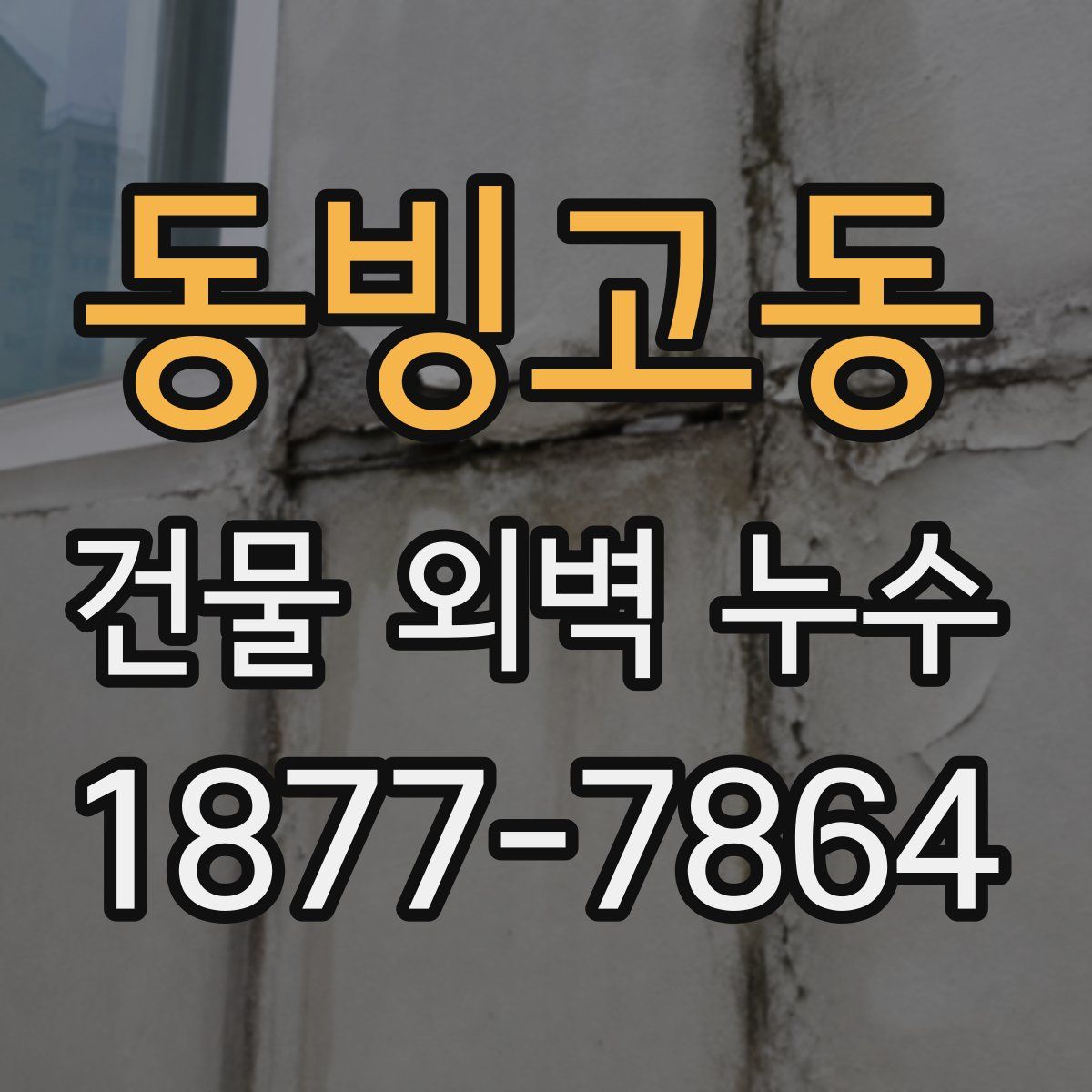동빙고동 건물 외벽 누수