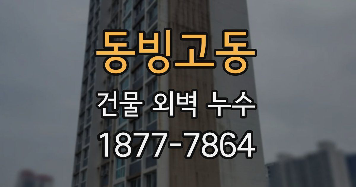 동빙고동 건물 외벽 누수