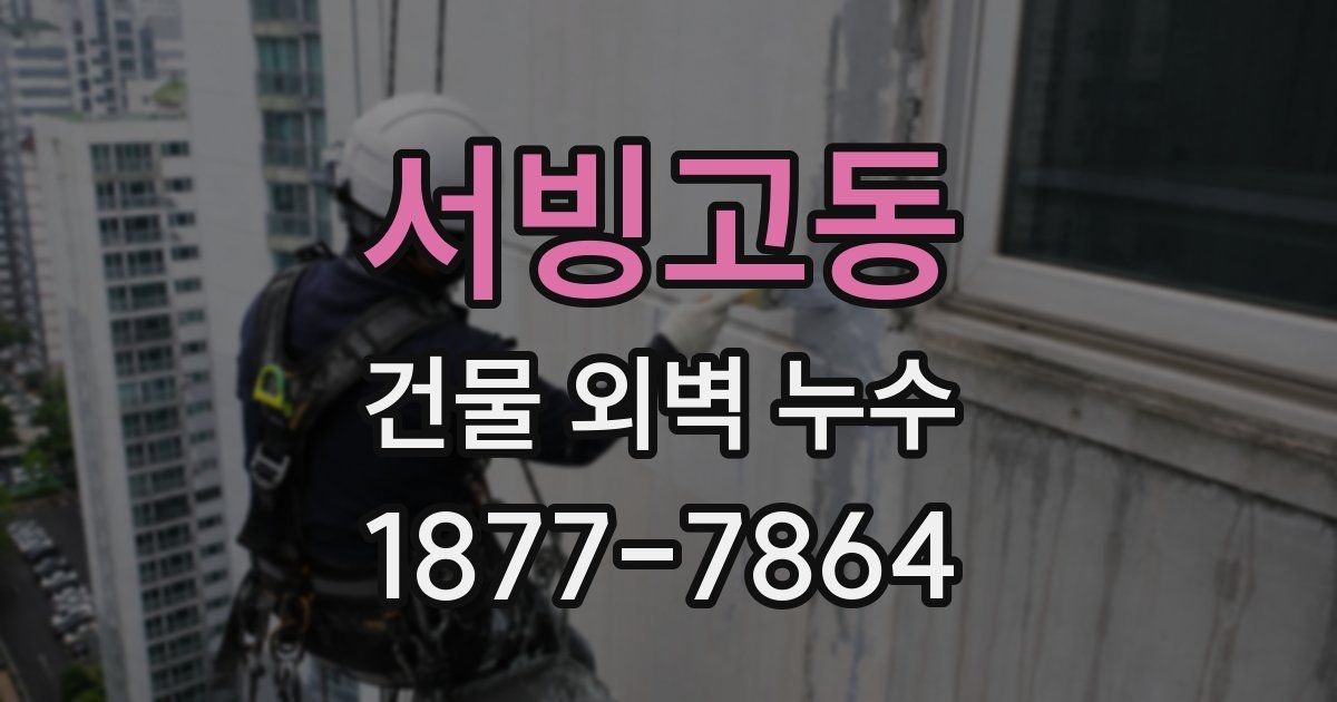 서빙고동 건물 외벽 누수