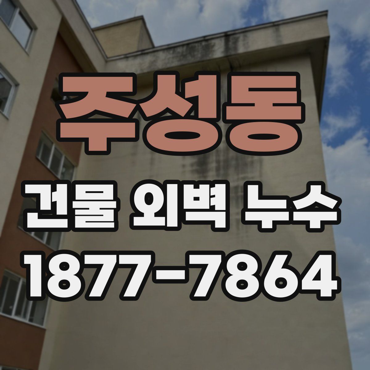 주성동 건물 외벽 누수