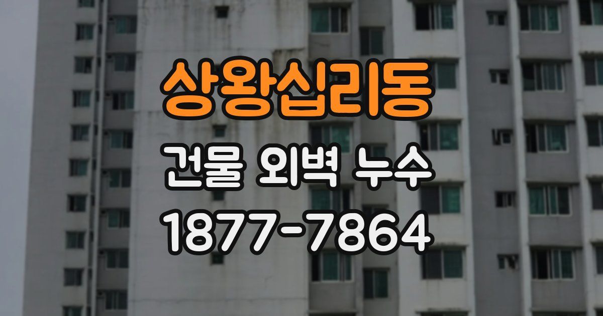 상왕십리동 건물 외벽 누수