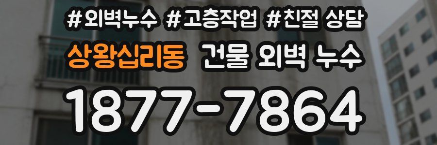 상왕십리동 건물 외벽 누수