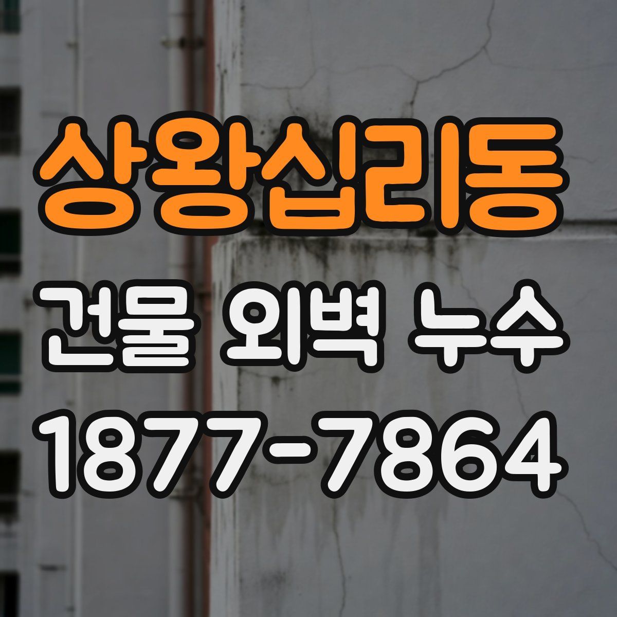 상왕십리동 건물 외벽 누수
