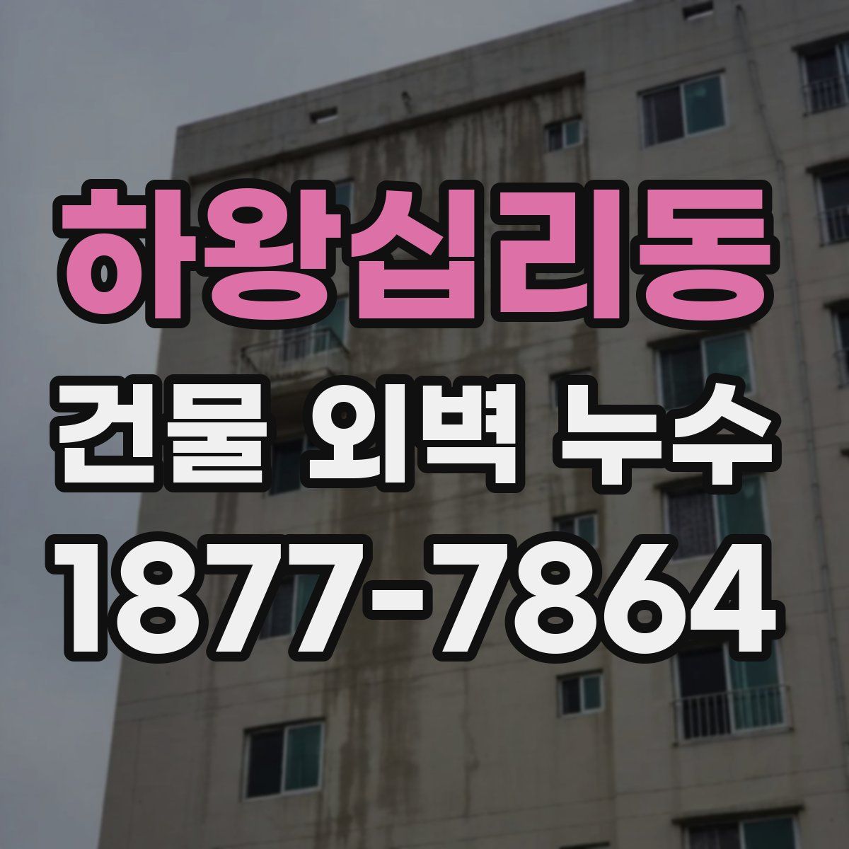 하왕십리동 건물 외벽 누수