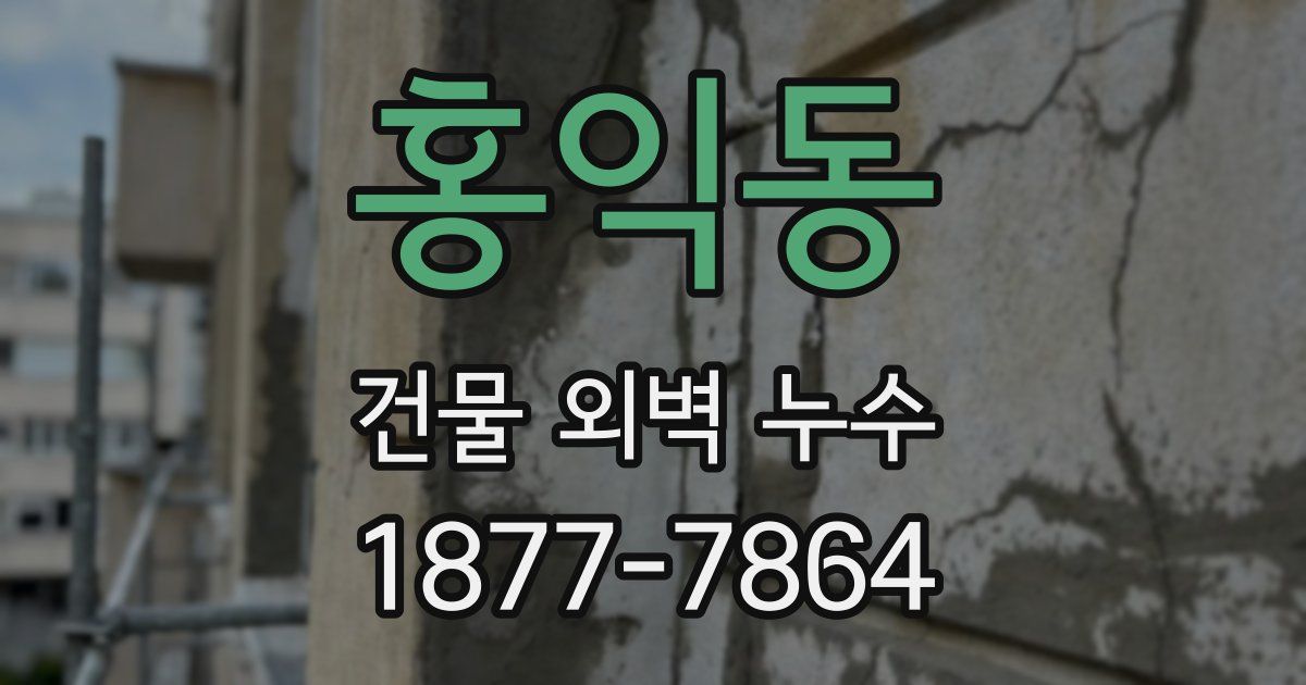 홍익동 건물 외벽 누수