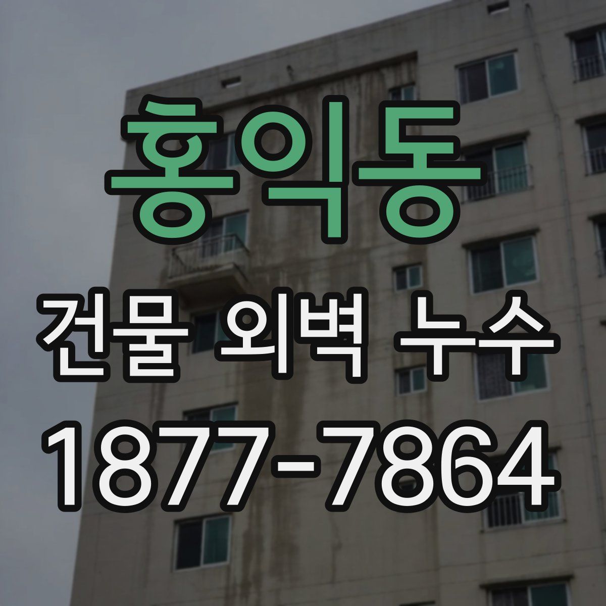 홍익동 건물 외벽 누수