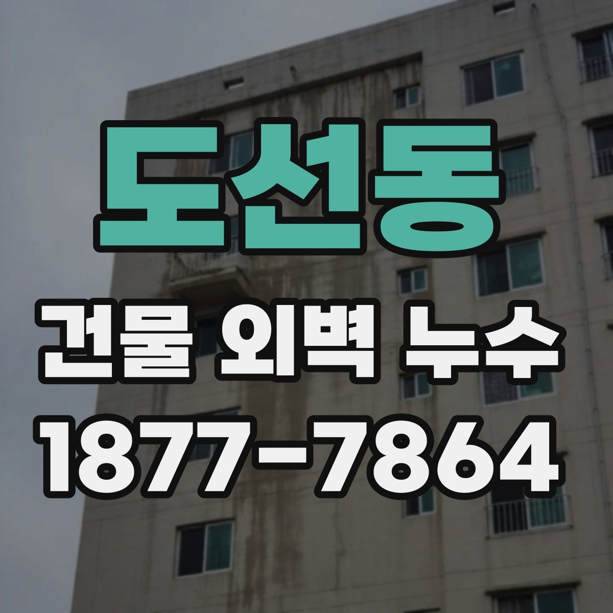 도선동 건물 외벽 누수