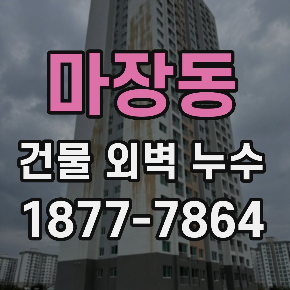 마장동 건물 외벽 누수
