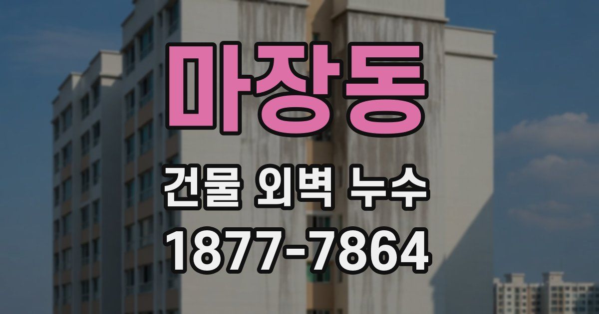 마장동 건물 외벽 누수