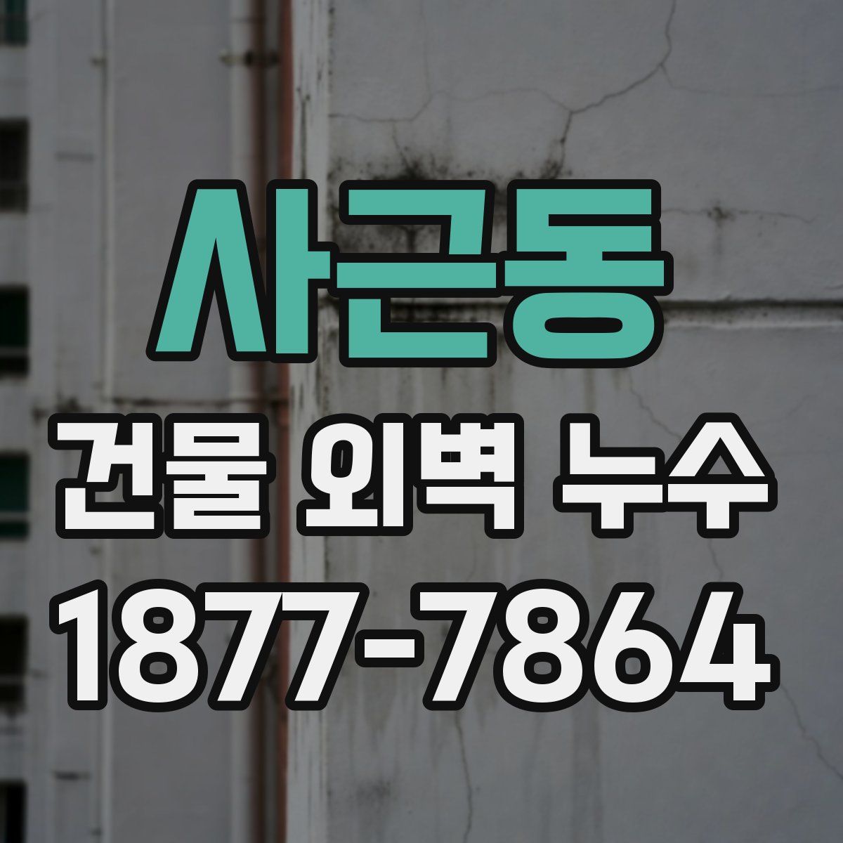 사근동 건물 외벽 누수