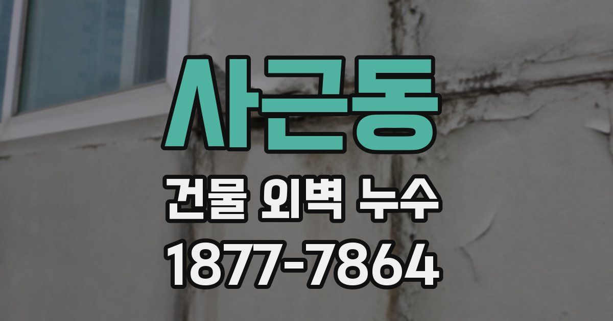 사근동 건물 외벽 누수