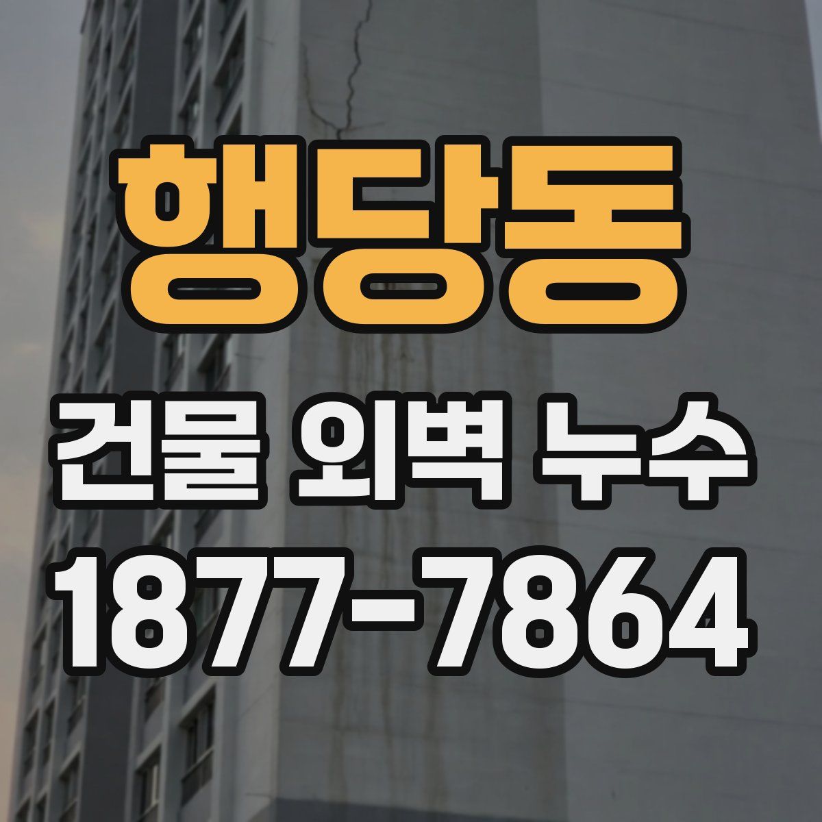 행당동 건물 외벽 누수