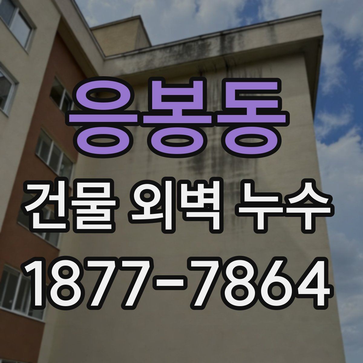 응봉동 건물 외벽 누수 보수 전 견적 비교 기준