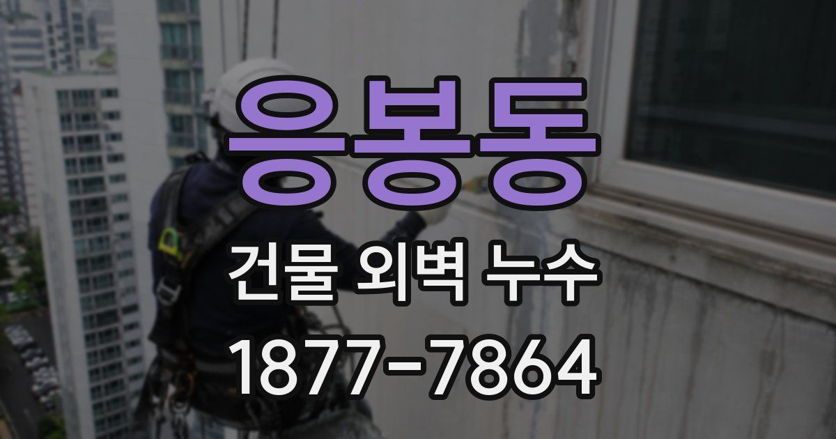 응봉동 건물 외벽 누수
