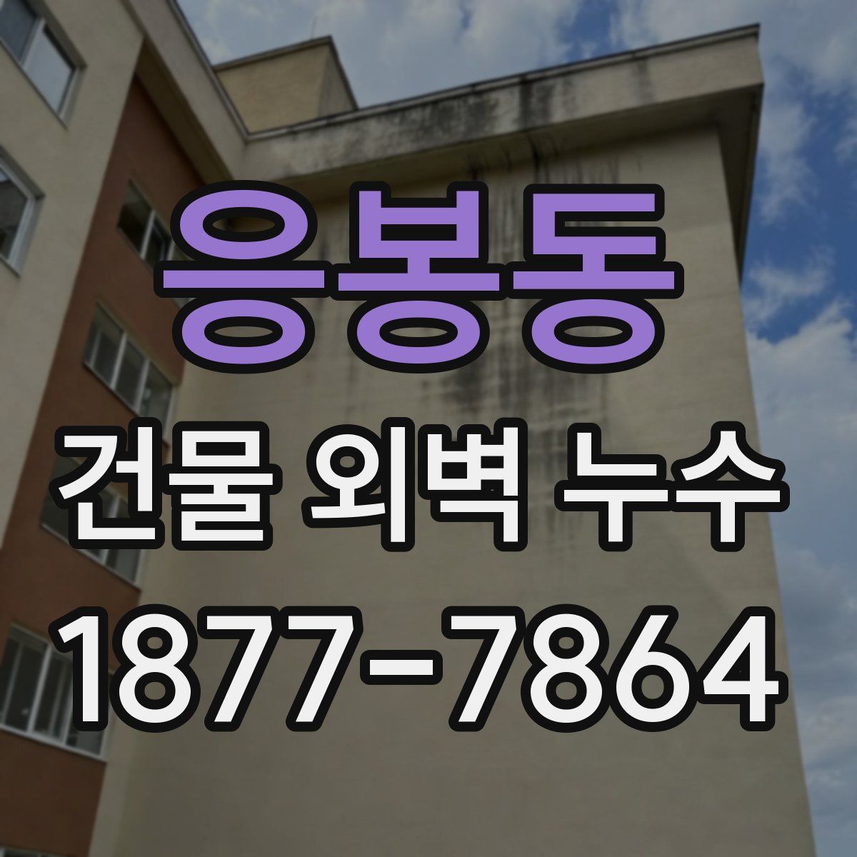 응봉동 건물 외벽 누수