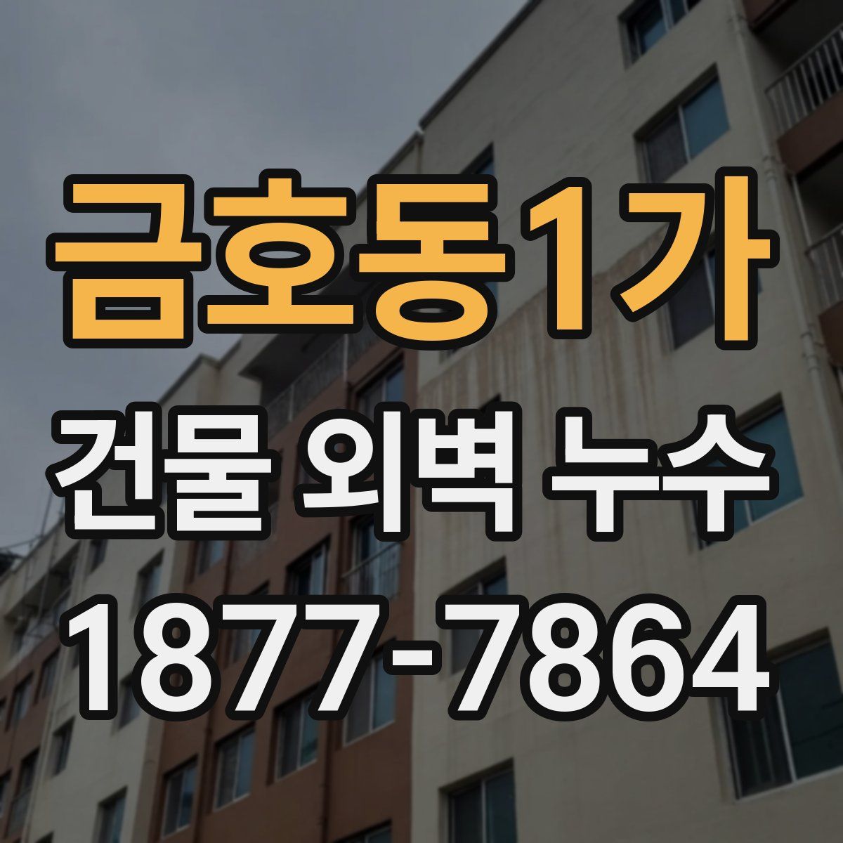 금호동1가 건물 외벽 누수