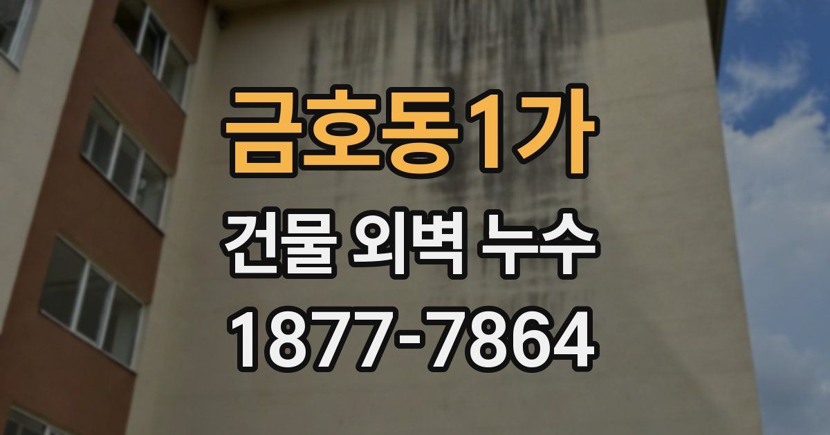 금호동1가 건물 외벽 누수