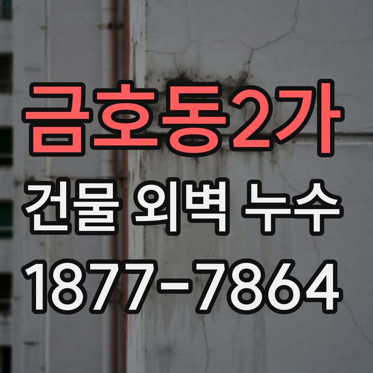 금호동2가 건물 외벽 누수 보수 계획을 세울 때 고려할 점