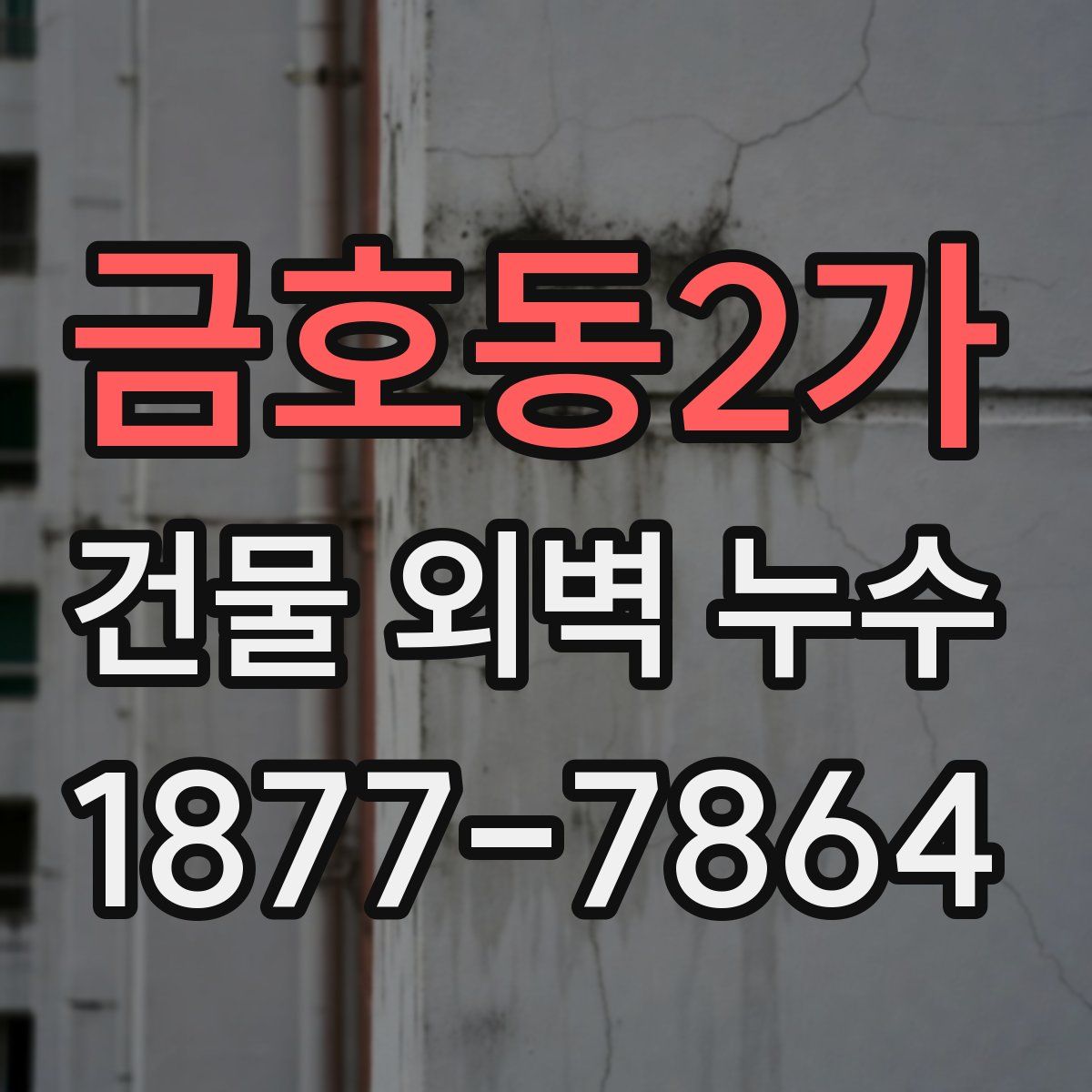 금호동2가 건물 외벽 누수