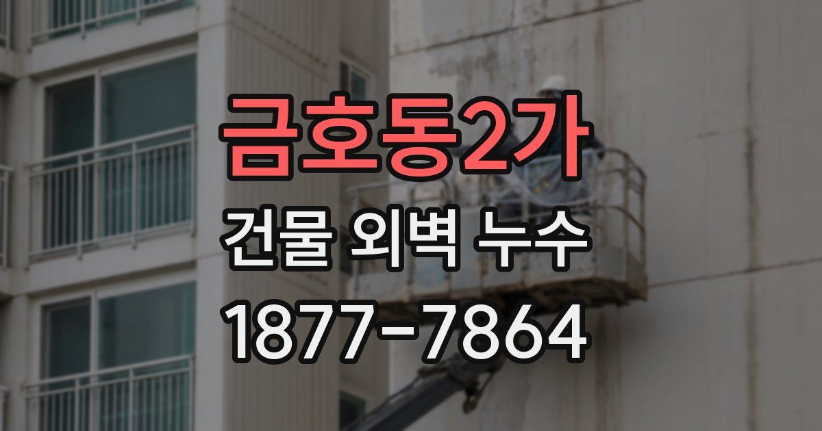 금호동2가 건물 외벽 누수