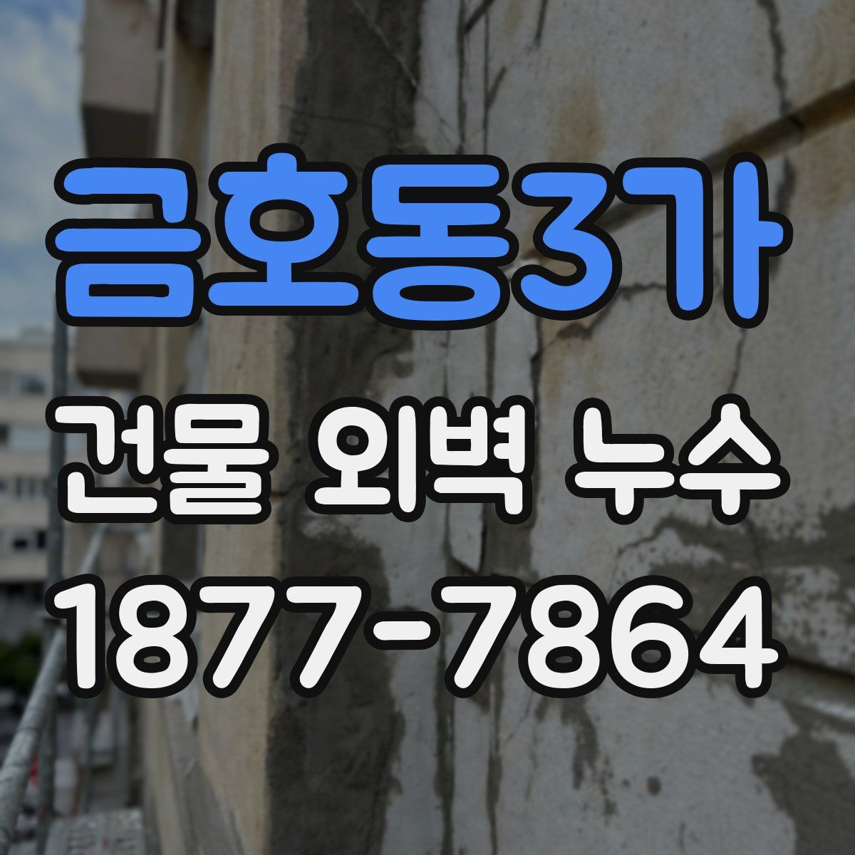 금호동3가 건물 외벽 누수