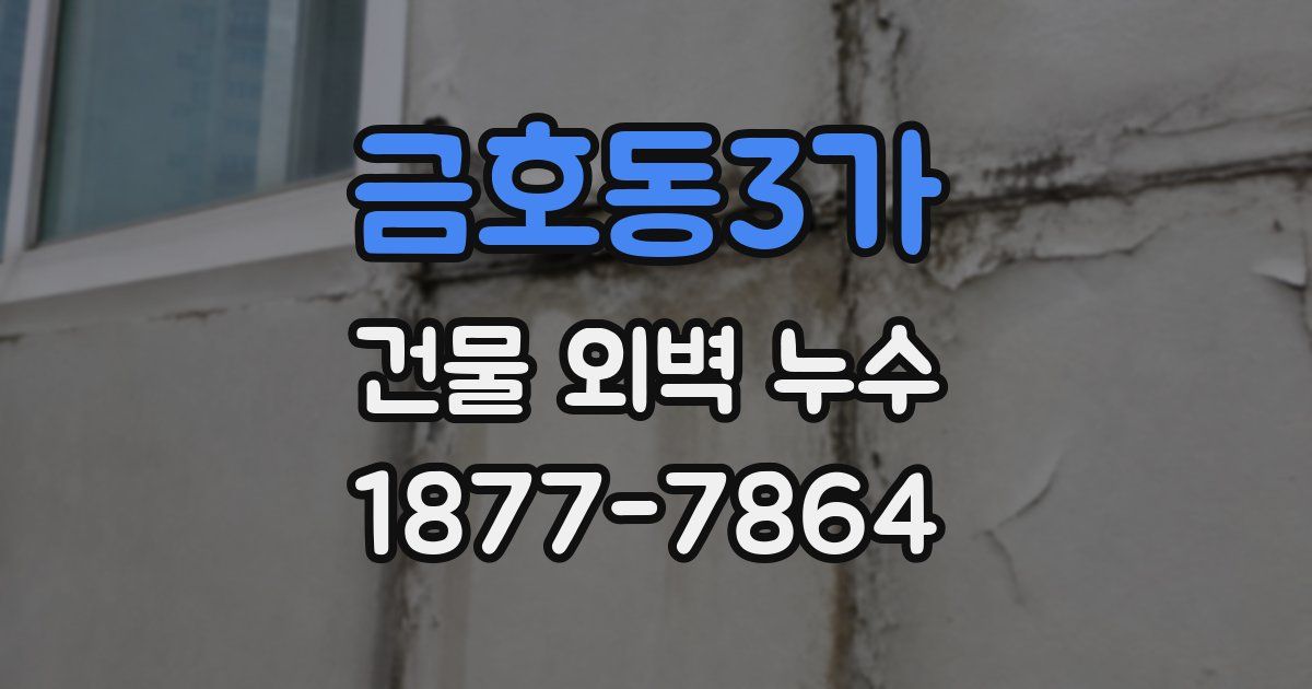 금호동3가 건물 외벽 누수