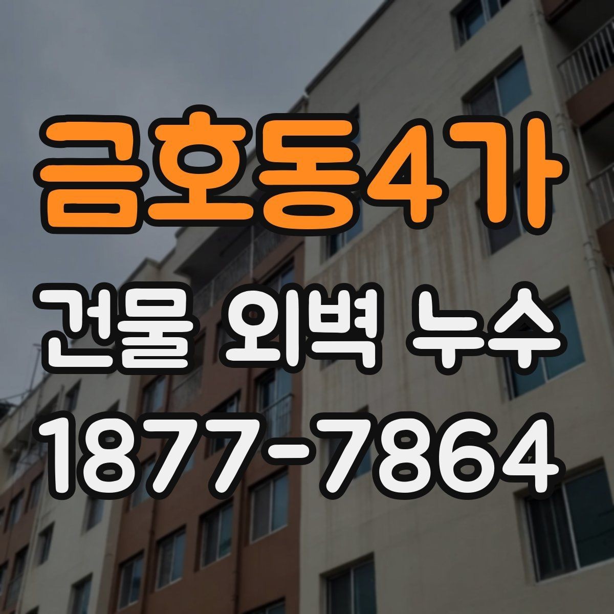 금호동4가 건물 외벽 누수 점검 일정은 어떻게 잡을까