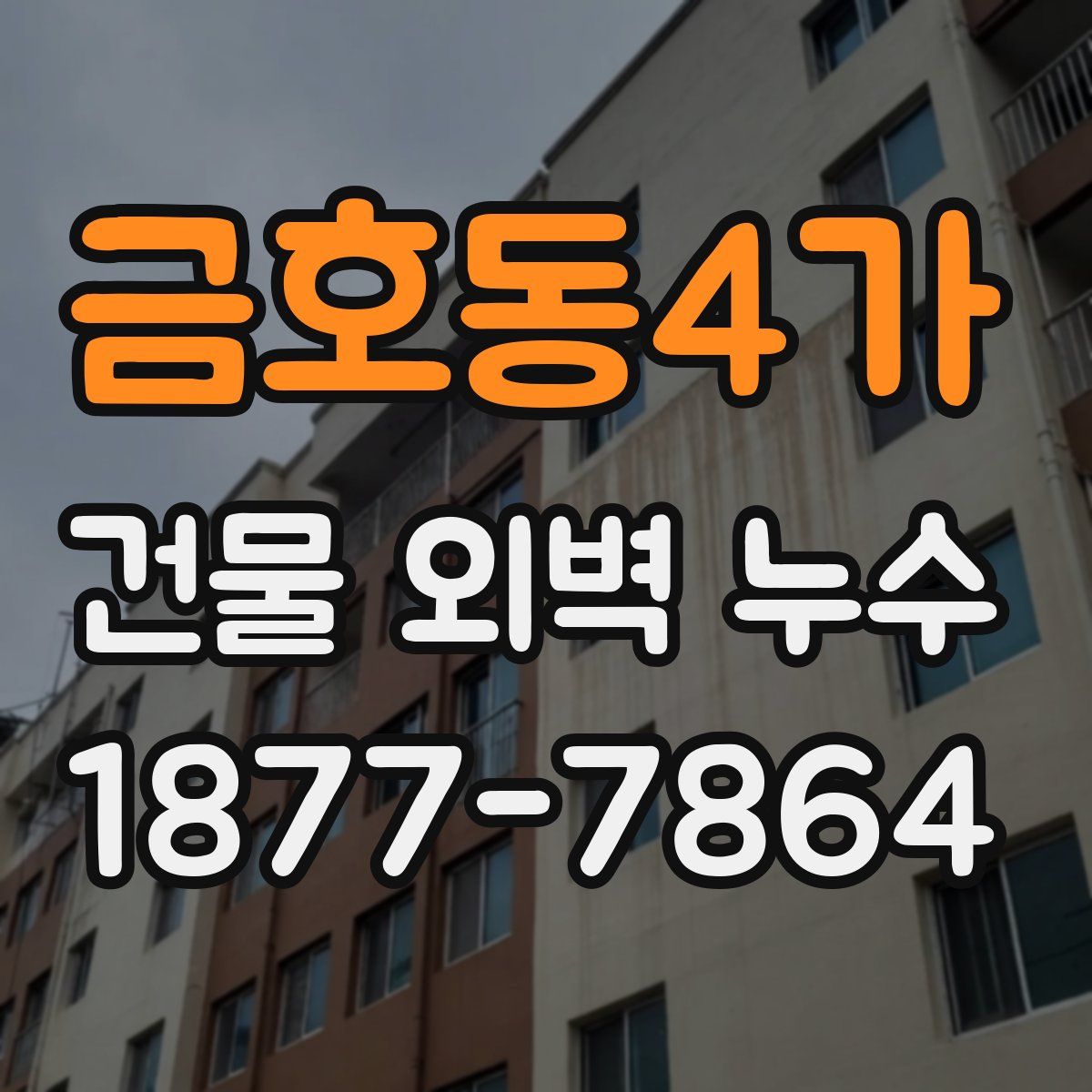 금호동4가 건물 외벽 누수