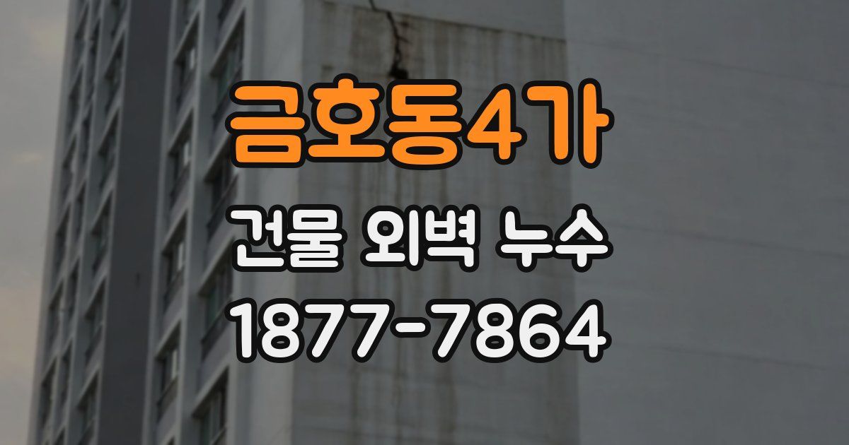 금호동4가 건물 외벽 누수